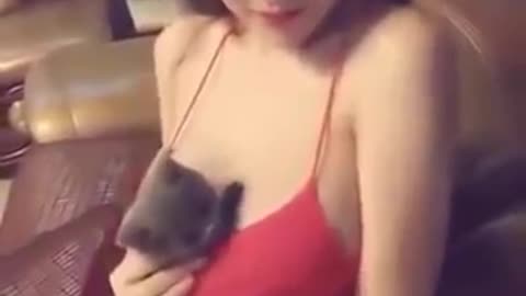 Sexy Girl Play With A Cute Cat