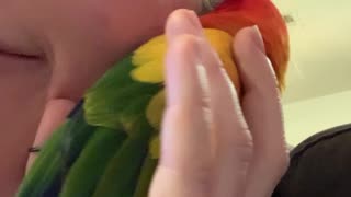 Parrot's Owner Pretends He's A Phone and Loves It