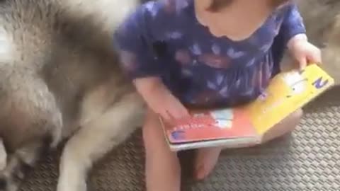 cute baby is studying with doggy