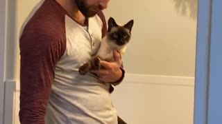 Dad Who Claims he Doesn't Like Cat Caught Red Handed