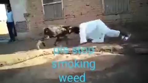 Smoking weed is bad bro