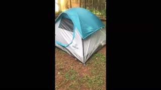 $24 Tent Unboxing and Review