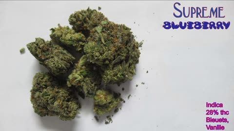 43 Supreme Blueberry