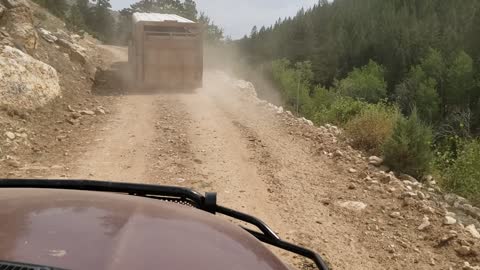 Hauling Cows Up The Mountain 14