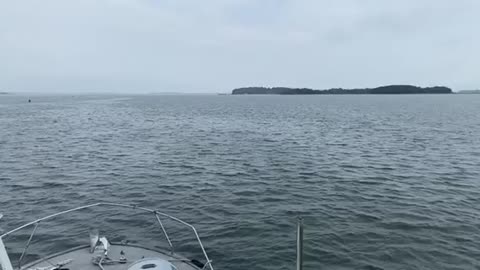 Boston Harbor on overcast day in August 2021