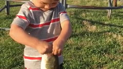 Kid catches fish with toy fishing rod