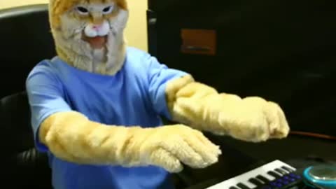 Kirboard Cat vs. Keyboard cat