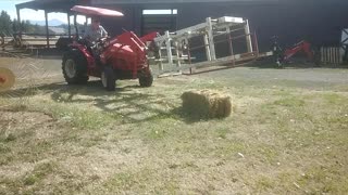 Testing Hay Squeeze