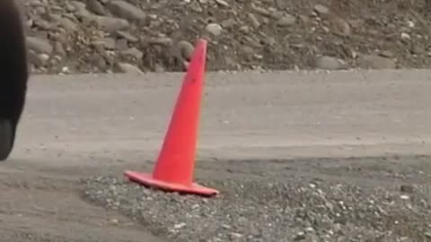 amazing act with red plastic cone