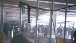 Video: Amotinamiento en estación de Policía de Bogotá deja varios heridos