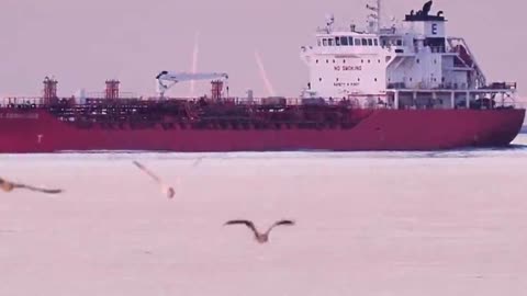 Mind-bending optical illusion appears to show wind turbines spinning underwater in UK