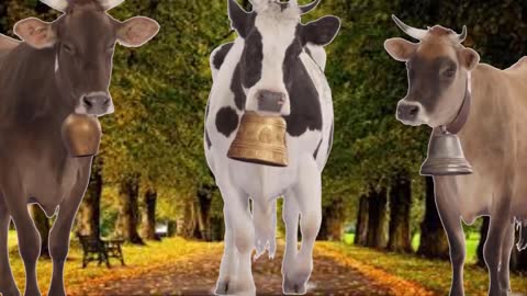 Funny song cows🐮