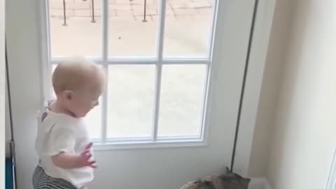 Baby Dance wit Cat