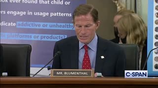 Blumenthal: "We created an Instagram account identifying as a 13-year-old girl"