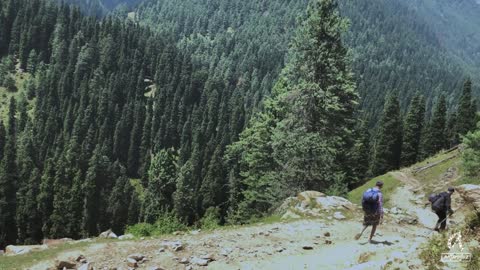 Lidderwat Trek on Aru Valley in Pahalgam