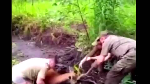 They saved a deer from death.