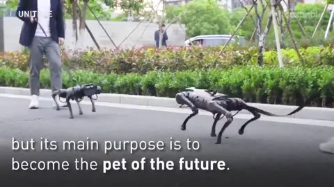 ROBO DEATH DOGS FOR $10,000
