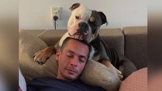 When all you need is a nap with your dad.