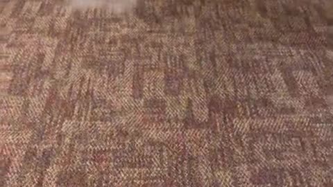 Superior Commercial Carpet Cleaning In Modesto CA