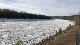 Deer Stranded on Frozen River