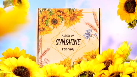 Sending Sunshine Gift, 10 Pcs Sunflower Gifts for Women, Care Package,