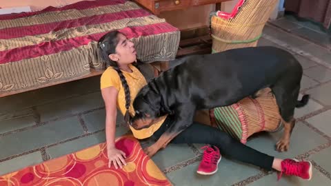 Rocky the Rottweiler trying to irritate Jennifer