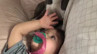 Baby and her new puppy play and giggle