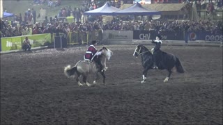 Cueca horse dance chile