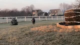 Slow motion retrieving