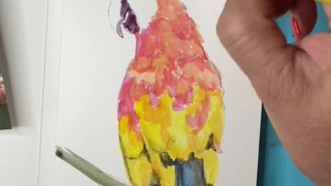 Pete the Parrot