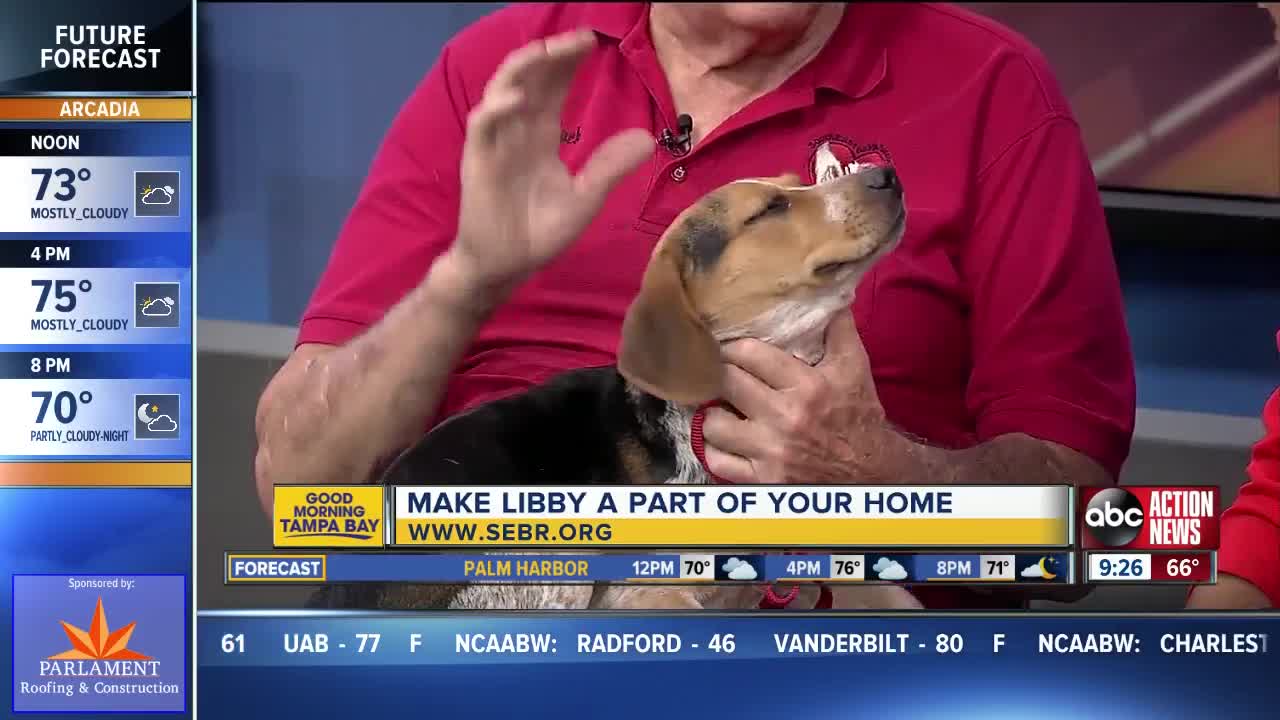 Rescues in Action Nov. 9 | Libby needs a home