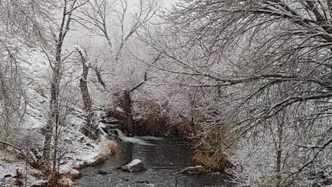 Snow falling at the Owens River in Bishop California