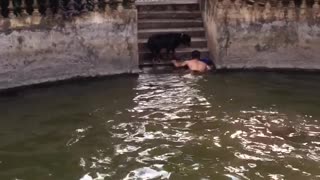 Dedicated Dog Helps his Human