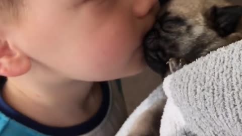 Pequeño niño besa a un pug recién nacido