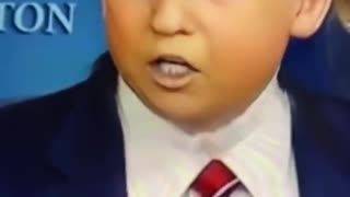 Baby face President Donald Trump attacks reporter