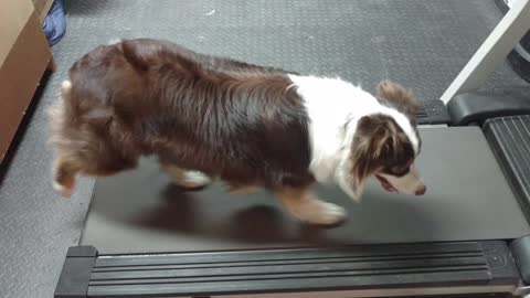 Exercising on the treadmill