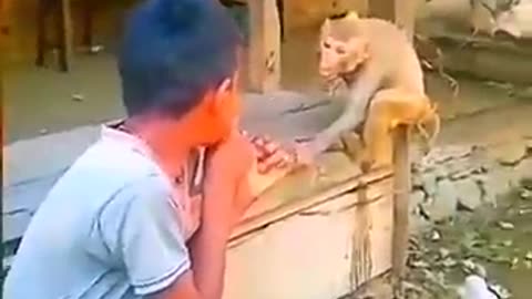 Fearless kid challenges a monkey to an unbelievable fight