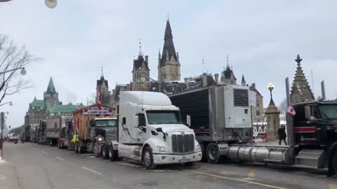 Ottawa // Freedom convoy