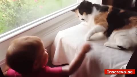 cats and children taken