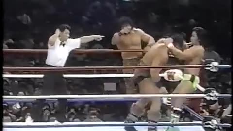 SWS_WWF Wrestle Fest in Tokyo Dome 3-30-91