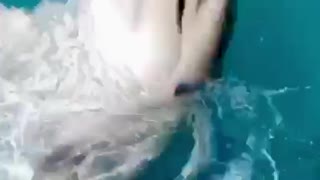 Dolphin challenge