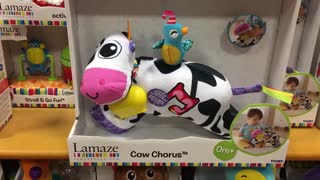 Cow Corous