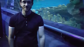 KLCC Aquaria Malaysia, with the cat daddy