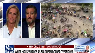 Sen. Ted Cruz weighs in on the crisis at the southern border