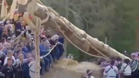 Meanwhile Japan - Downhill Tree Riding Seems Popular...