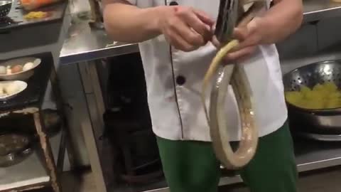 The man teases the snake and is attacked by it