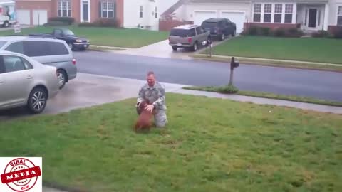 Dogs Welcoming Soldiers Home Compilation Part_4