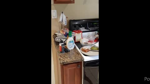 Messy kitchen clean up