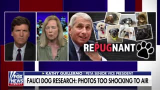 "Dr. Evil", Anthony Fauci, Kills Innocent Pooches With No Shame...