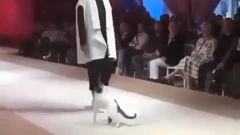 The fashion show suddenly never walks and the fashion show